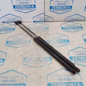 PISTONCINI PORTELLONE POSTERIORE USATO MERCEDES CLASSE A «W169» (2005)