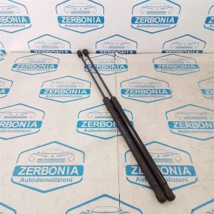 PISTONCINI PORTELLONE POSTERIORE USATO SKODA FABIA «NJ5» SW (2014)
