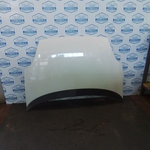 COFANO ANT. USATO FIAT PUNTO EVO (2010)