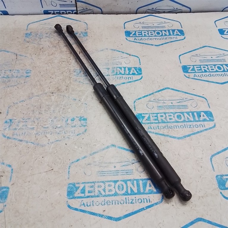 PISTONCINI PORTELLONE POSTERIORE USATO CITROEN C3 «II» (2010)